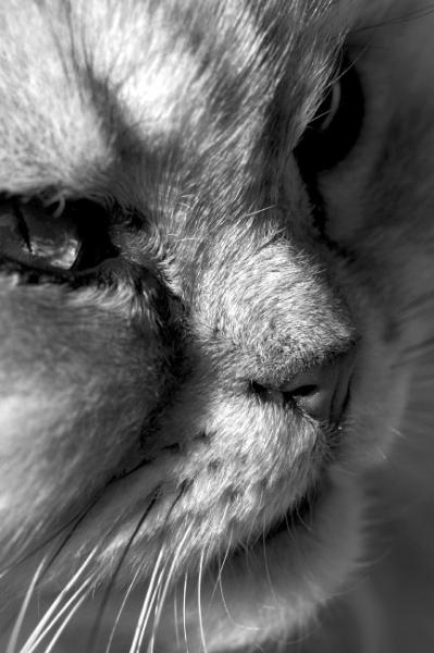 Mhhhhhhhhhhhh �a ce ne mange pas??